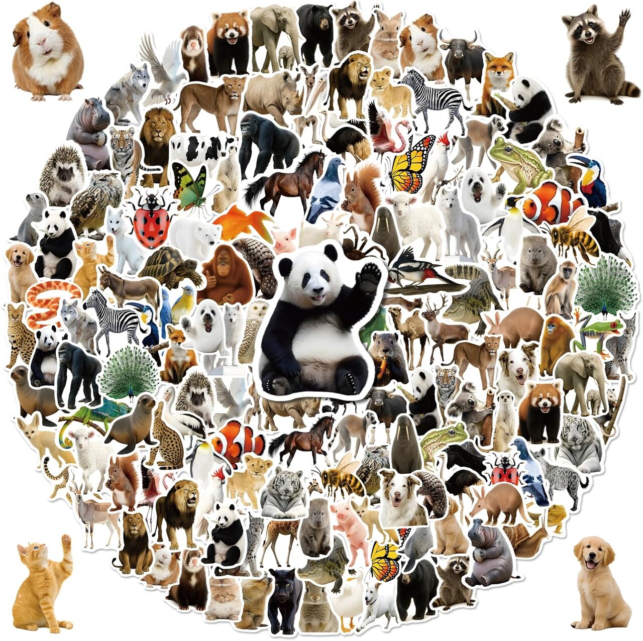 300PCS Cute Realistic Animal Stickers Pack – Waterproof Vinyl Animal Stickers for Water Bottles, Laptops, Classroom Rewards, Safari Party & Scrapbook